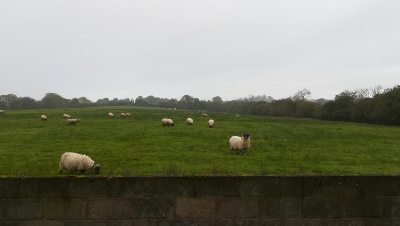 Lilac Manor Bed and Breakfast Sligo Exterior foto